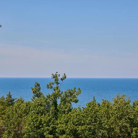 Apartament Superior Sea View Pinea 701 *